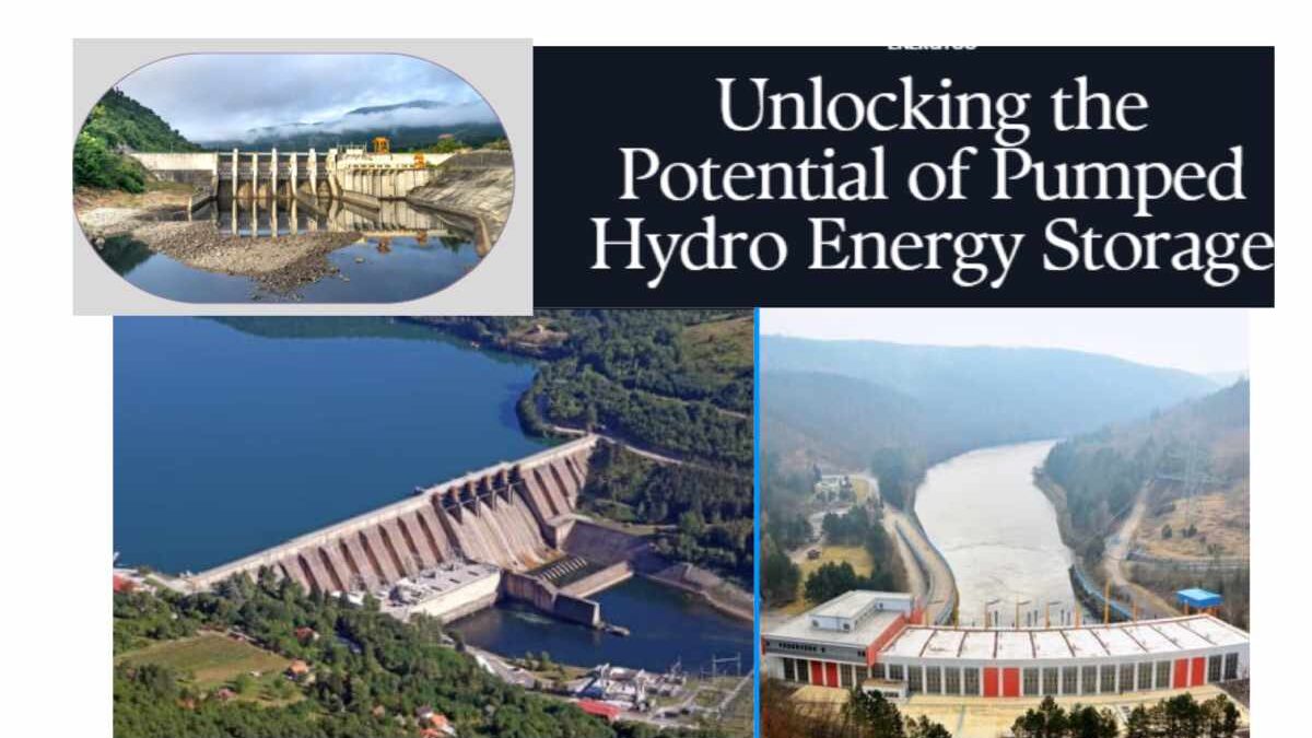 Budgetary Support To Unlock Potential For Pumped Hydro Energy Storage Projects