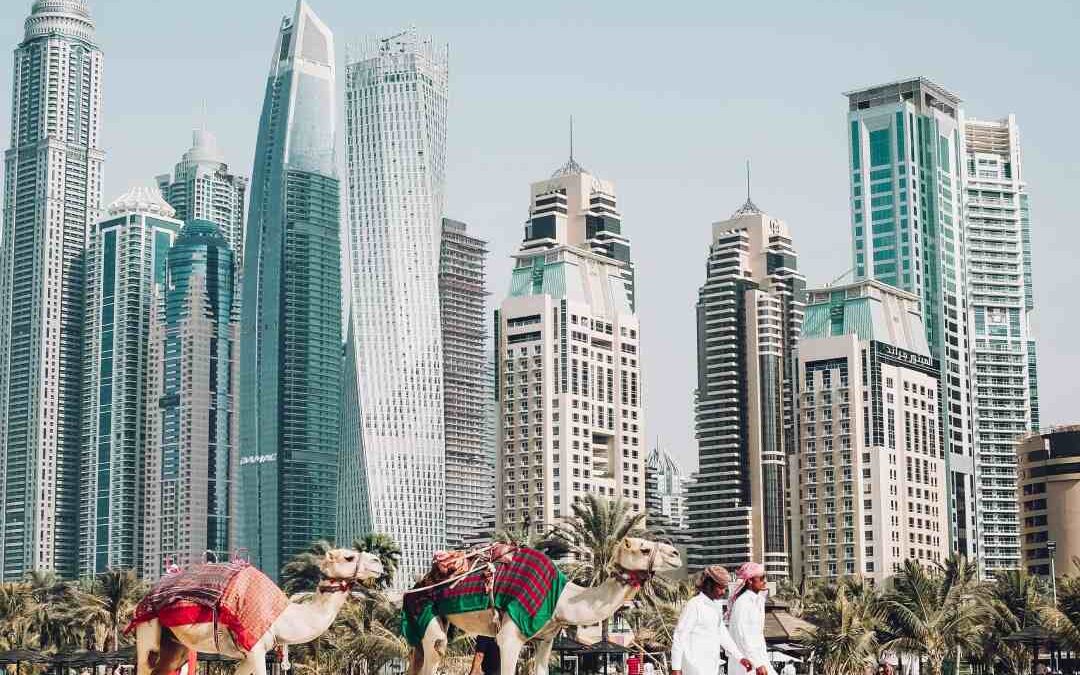 UAE Announces Blue Visa for Environmentalists