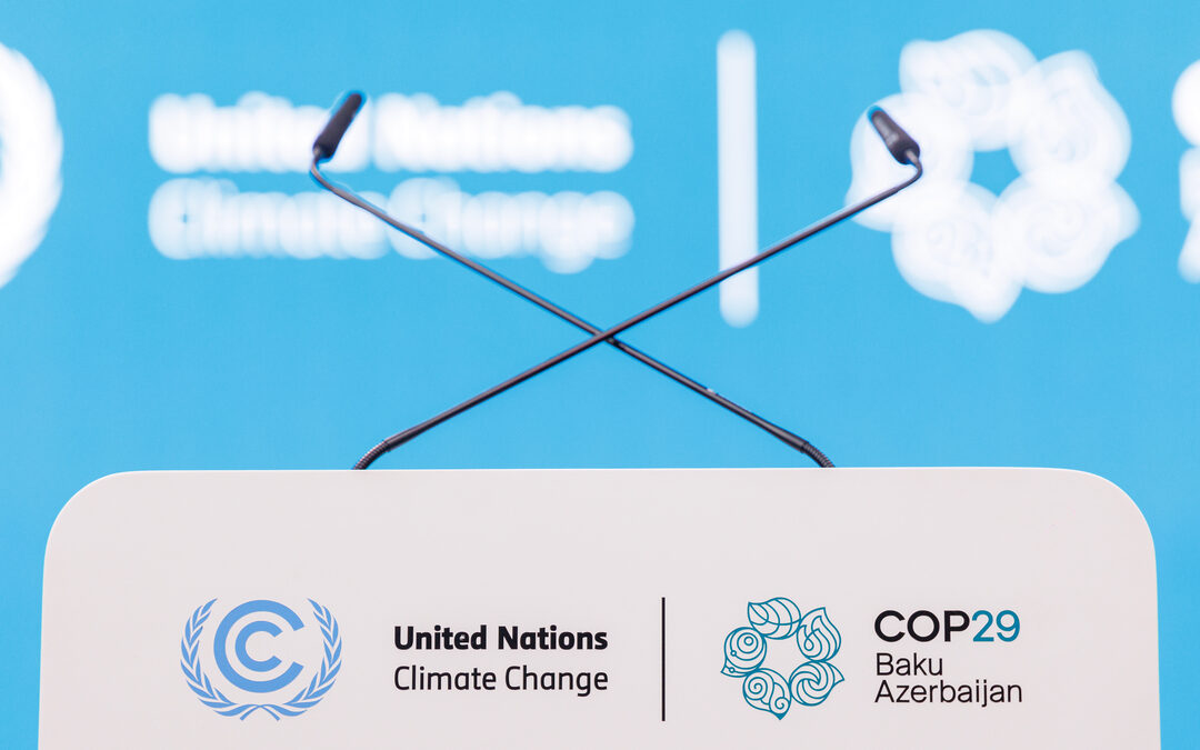 COP29 Negotiations Stall Over Secondary Carbon Trading Rules Under Article 6.2: S&P