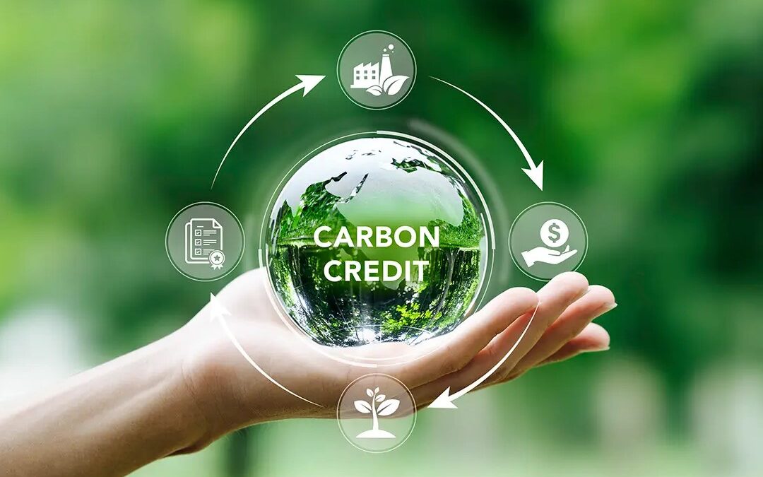 US’ Marsh, We2Sure Launch Insurance Facility to Tackle Fake Carbon Credits