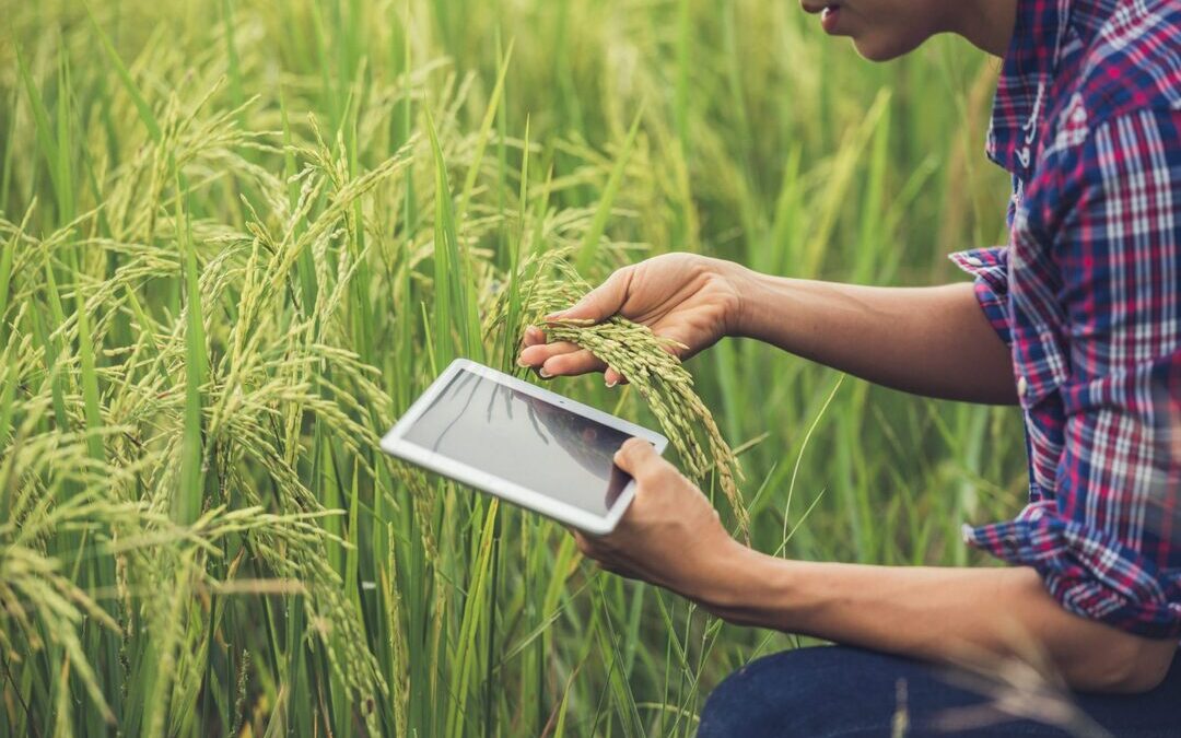 Farmers Edge Unveils Managed Services to Push Digital Tools in Agriculture