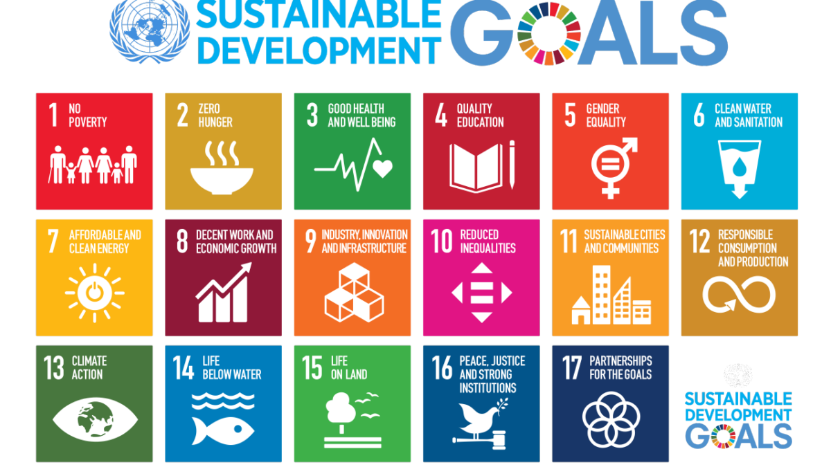 India’s SDG Report 2024: Milestones Achieved, Challenges Ahead