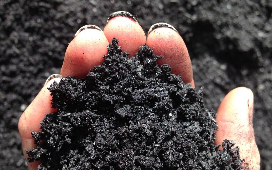 Google Inks Record Deals to Use Biochar for 200K Tons of Carbon Removal