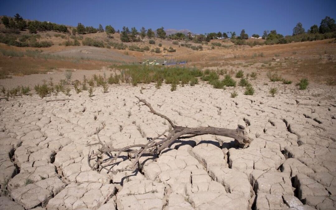 EU Report Warns of Worsening Water Crisis as Pollution and Droughts Rise