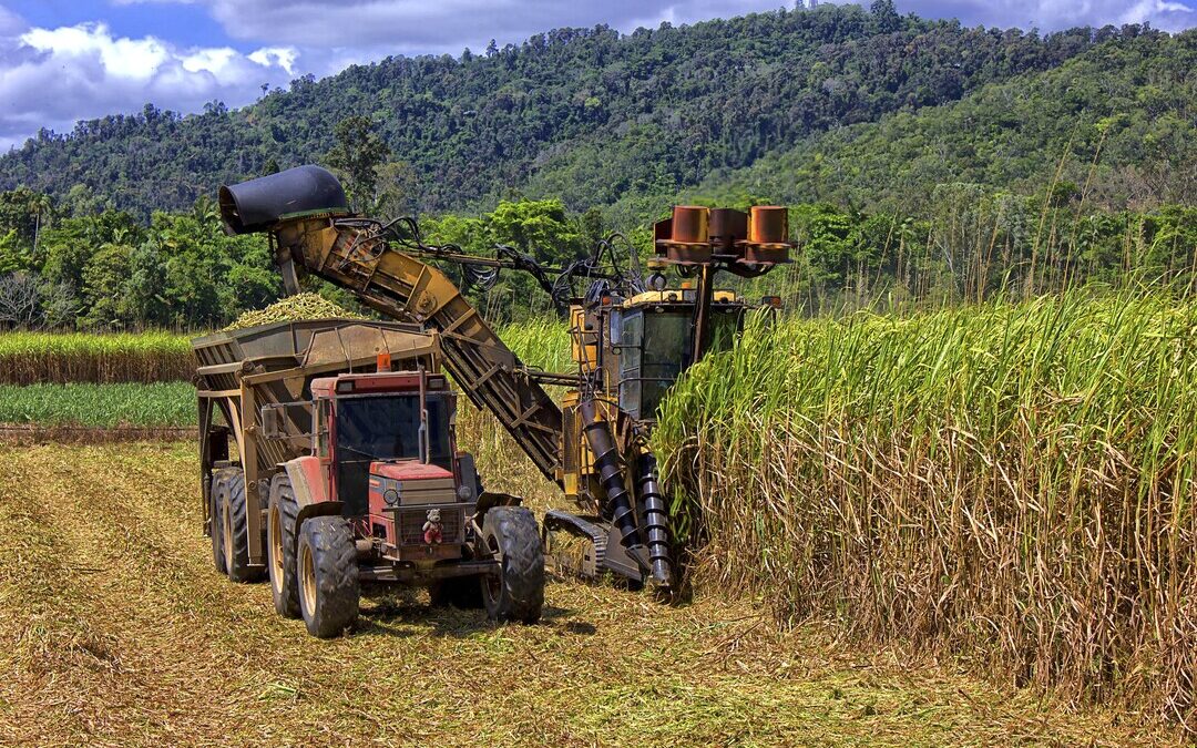 Australia’s ARENA Invests $6.8M in Sustainable Aviation Fuel Projects