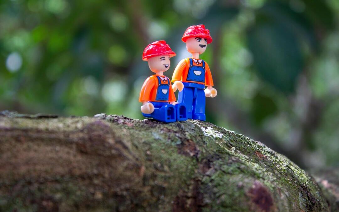 The LEGO Group Expands Sustainability Efforts with Carbon Removal Investments