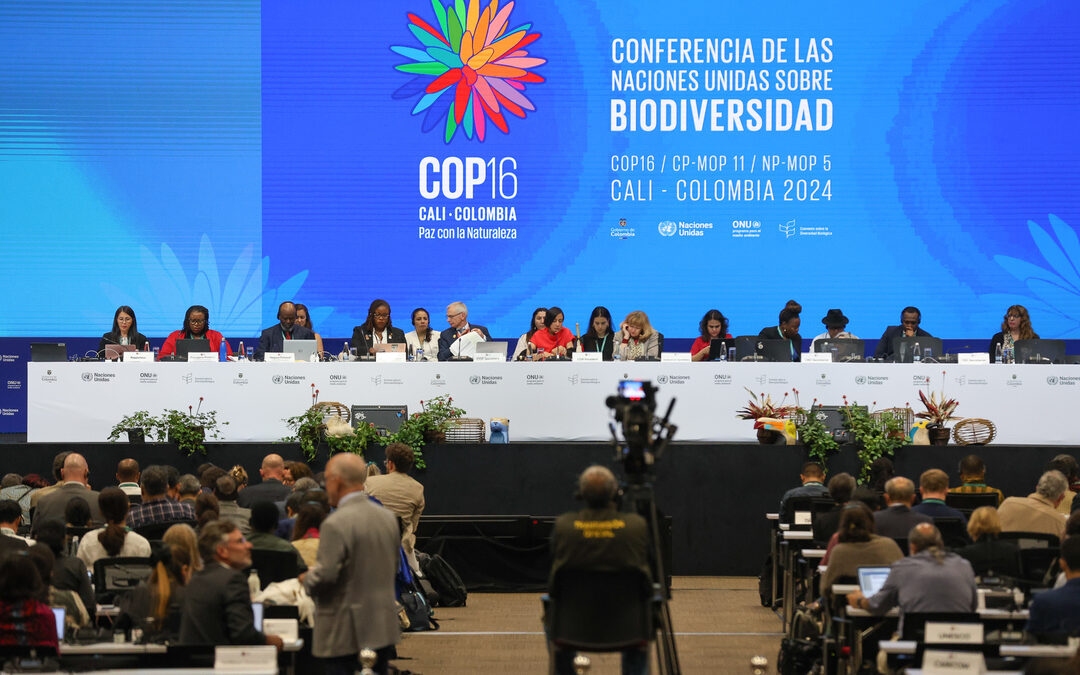 Governments Adopt First Global Biodiversity Finance Strategy: UNEP